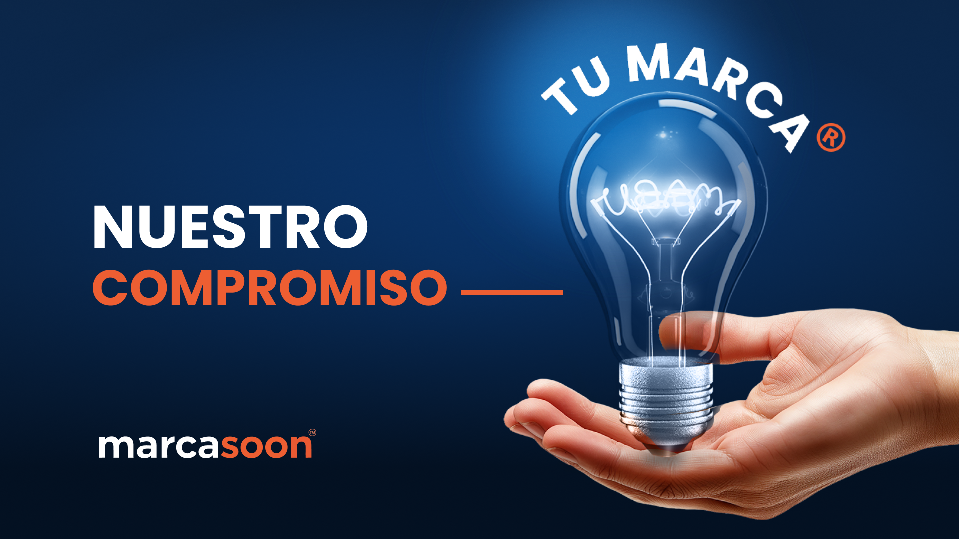 Descripción de la imagen